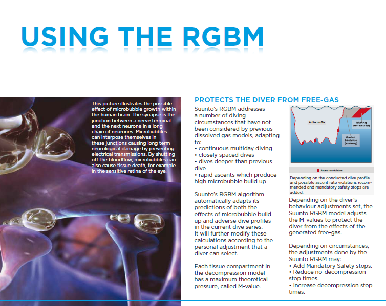 USING THE RGBM