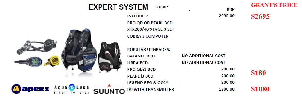 EXPERT SYSTEM DIVE SYSTEM
