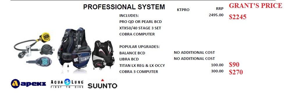 PROFESSIONAL DIVE SYSTEM
