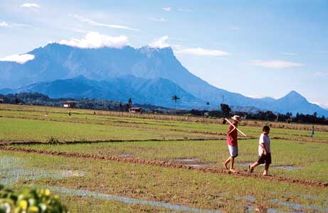 Mt Kinabalu