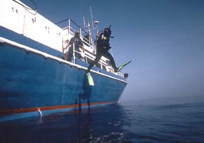 Boat Diving