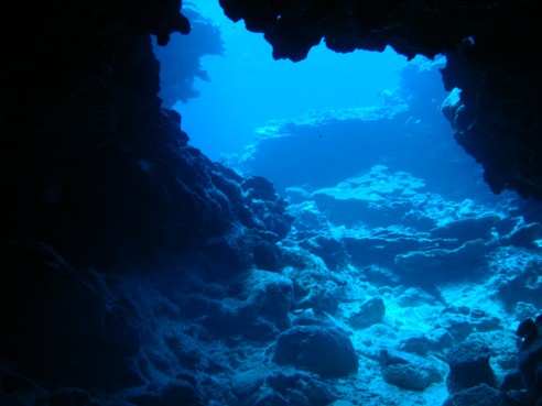 Cave Dive