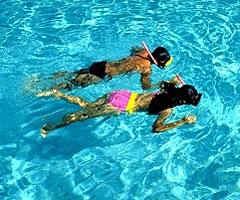 Snorkeling