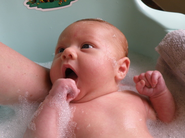 Everly12