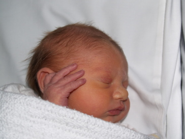 Everly4