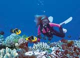 Diving Beqa Lagoon