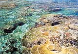 Coral Beach Lagoon