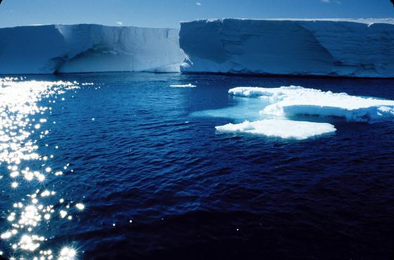 Ice Cliffs