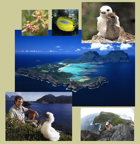 www.lordhowe-tours.com