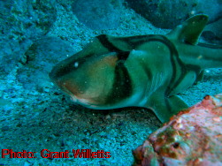 Mudgee High Marine Studies Trip 2008