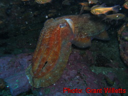 Mudgee High Marine Studies Trip 2008