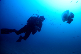 Grant-with-jellyfish