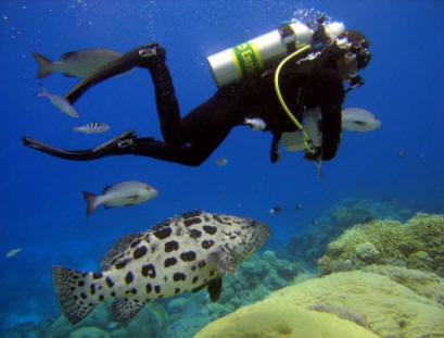 Nitrox Diver