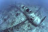 Kate Wreck, Kavieng