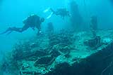 Wreck Dive Coron