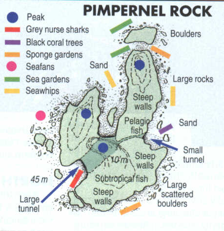 Pimpernel Rock: Copyright Wooli Dive Centre