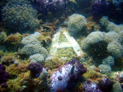 A from the Yongala