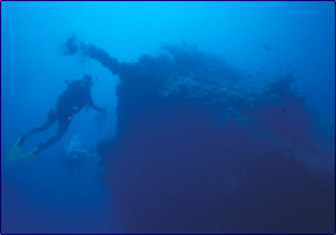 Yongala and Diver