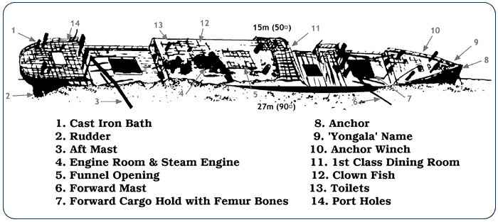 Wreck Plan