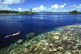 Ideal Snorkeling and scuba diving-Uepi Island