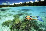 Snorkeling in the Solomon Islands