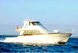 MV Calypso Star