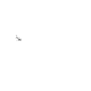 Shark_animation