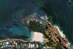 Shelly Beach Manly