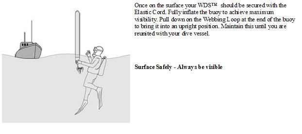 WDS_Step4b
