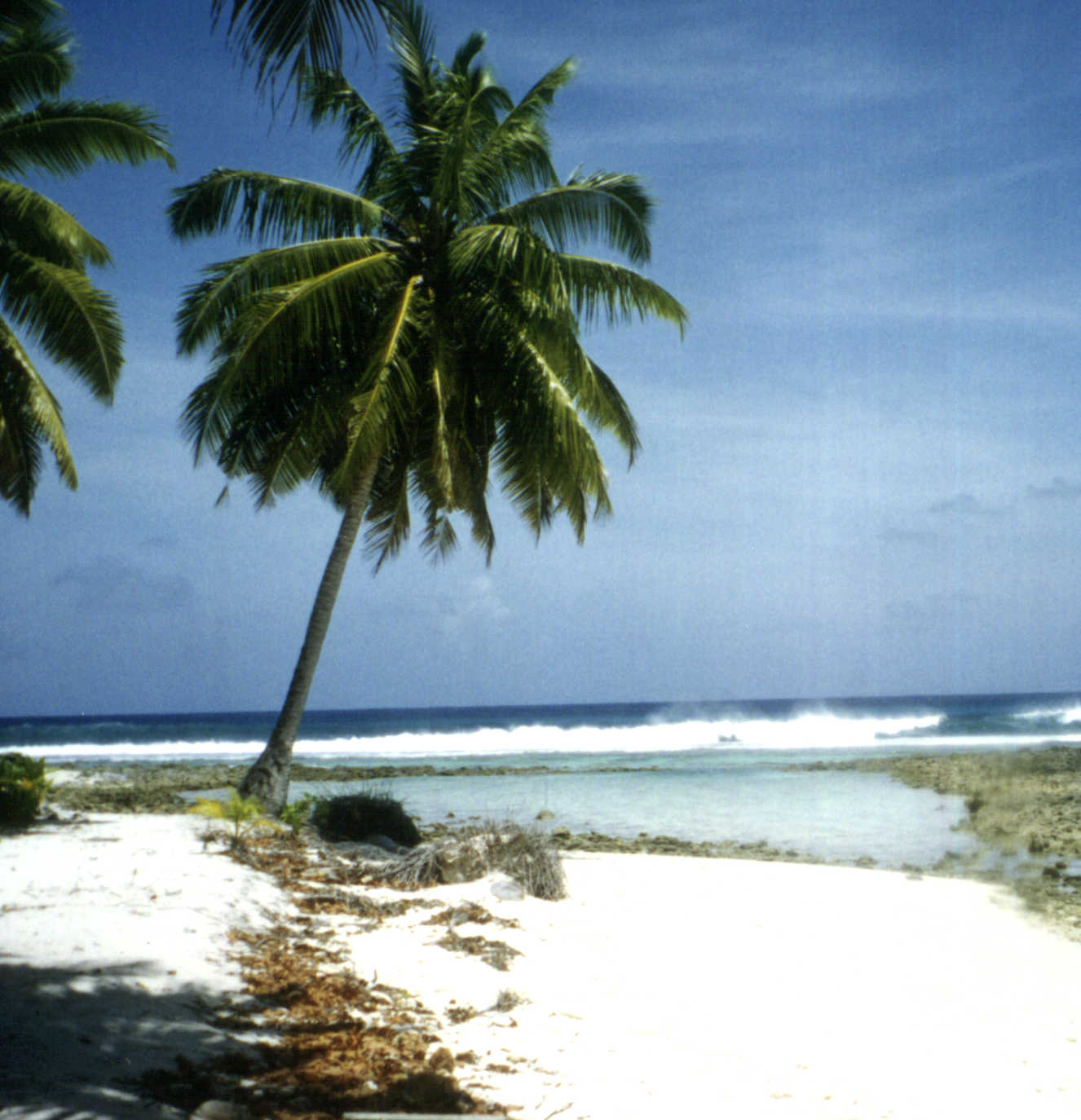 Paradise