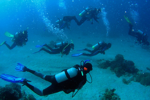 Be Confident To Lead Dive Groups
