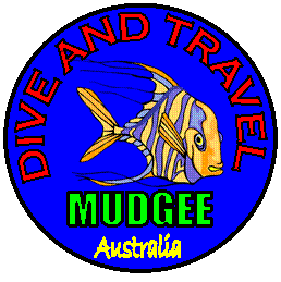 Mudgee Dive And Travel Logo