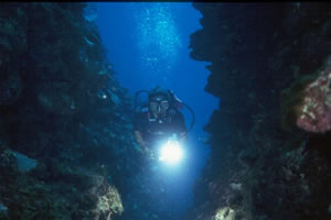 Night Diving